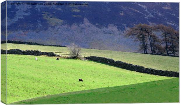 Lake District fells and walls Canvas Print by Phil Robinson