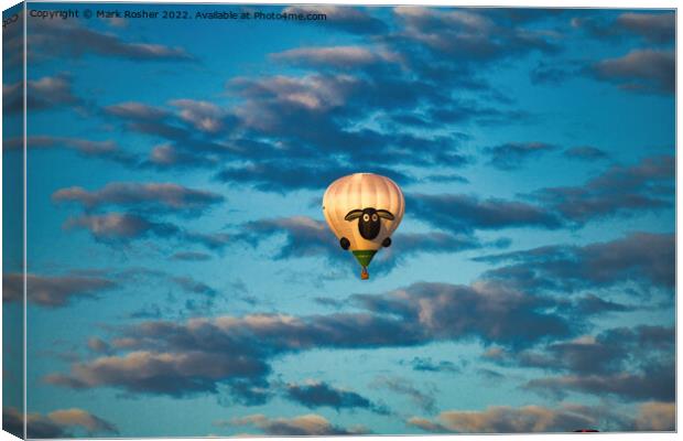 Shaun Adrift! Canvas Print by Mark Rosher