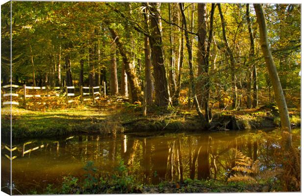 Forest fence Canvas Print by Elzbieta Sosnowski