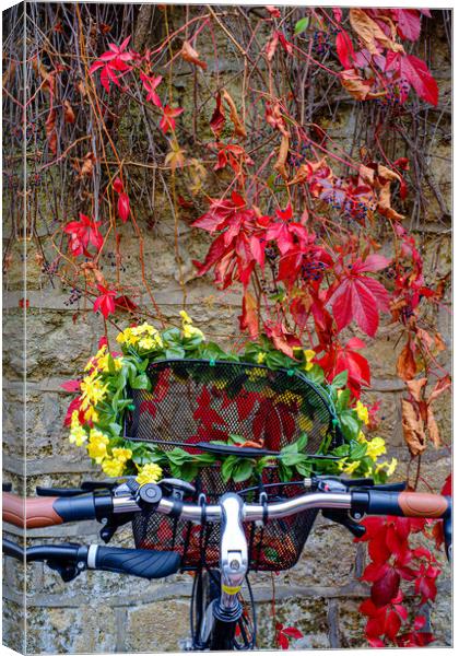 Bicycle Basket Canvas Print by Gerry Walden LRPS