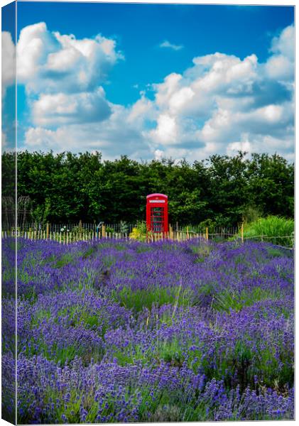 Blue, red, violet Canvas Print by Gerry Walden LRPS