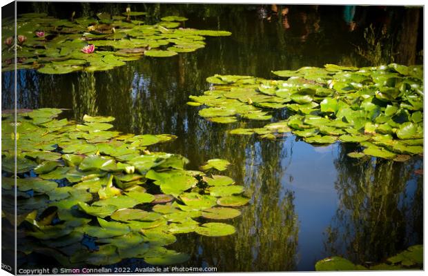 Monets Garden Water Lilies Canvas Print by Simon Connellan