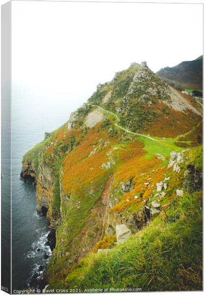 Valley of the Rocks. Lynmouth, Exmoor. Canvas Print by David Cross