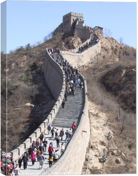 Great Wall of China Canvas Print by David Leahy