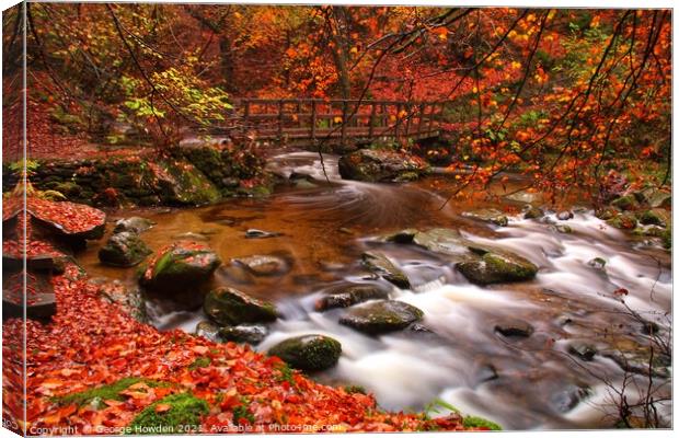 River Rothay Ambleside in Autumn Canvas Print by Denley Dezign