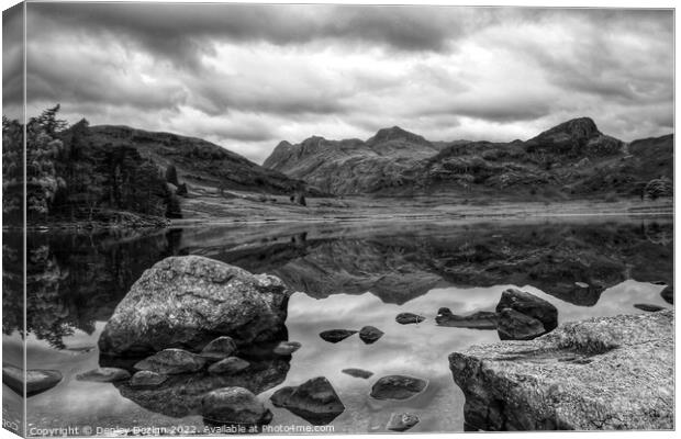 Langdale Pikes from Blea Tarn Canvas Print by Denley Dezign