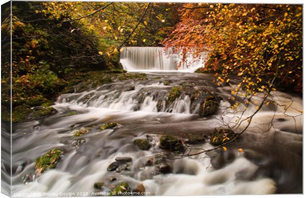 River Brathy, on the way to Stockghyll force Canvas Print by Denley Dezign