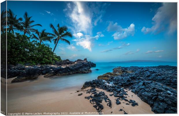 Midnight tropics Canvas Print by Pierre Leclerc Photography