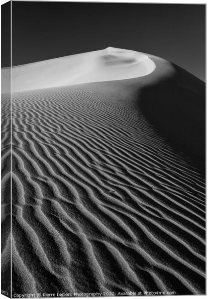 Sand Dunes Texture Canvas Print by Pierre Leclerc Photography