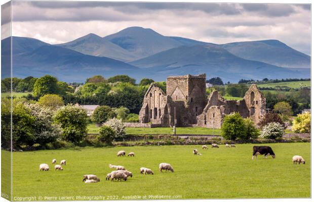Irish Country side Canvas Print by Pierre Leclerc Photography