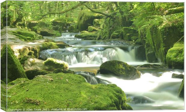 Outdoor  Canvas Print by Allan Jones