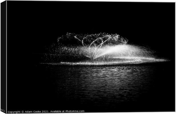 Water Fountain - Black & White | Hever Castle Canvas Print by Adam Cooke
