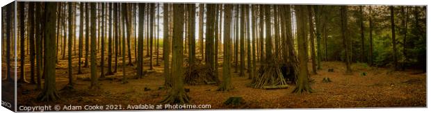 In The Woods | Panoramic | Limpsfield Common Canvas Print by Adam Cooke