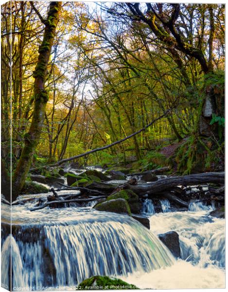 Portrait View of Golitha Falls | Bodmin Moor | Cornwall Canvas Print by Adam Cooke