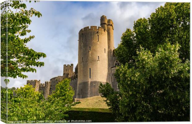 Arundel Castle | Arundel Canvas Print by Adam Cooke