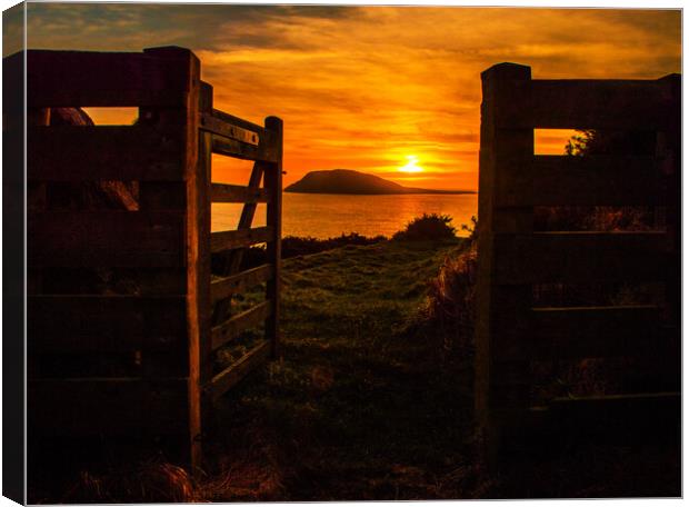 Sunset through the gate over Bardsey Island Canvas Print by Dafydd Emyr Jones