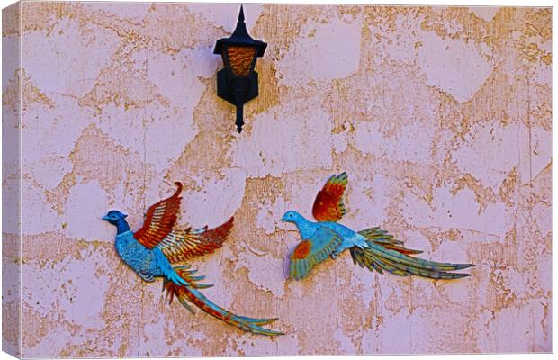 Birds of Paradise Canvas Print by Tony Mumolo