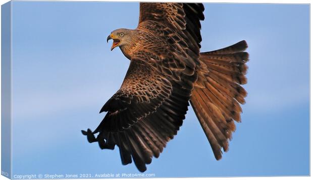 Angry Bird Canvas Print by Ste Jones