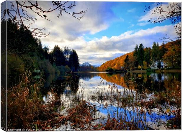 Loch Ard Canvas Print by Tone F