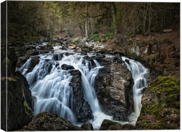 River Braan Canvas Print by Mike Farrance