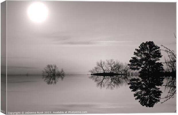 Reflections in Black and White Canvas Print by JoDonna Rusk