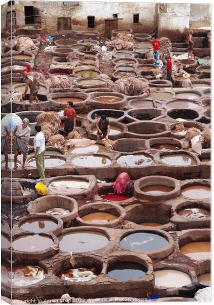 Men at work in the tannery, Fez, Morocco. Canvas Print by Adrian Chan