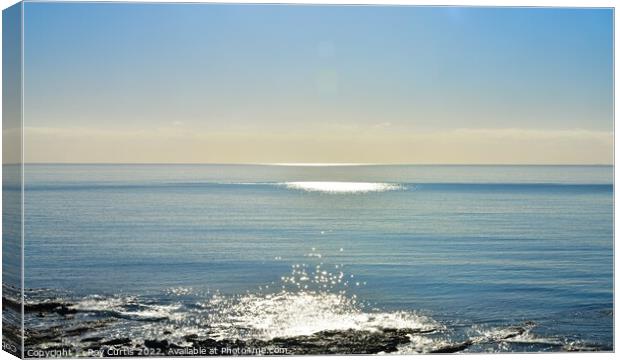 Light on the Water Canvas Print by Roy Curtis