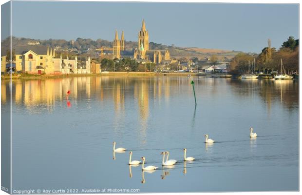 Truro River Swans Canvas Print by Roy Curtis
