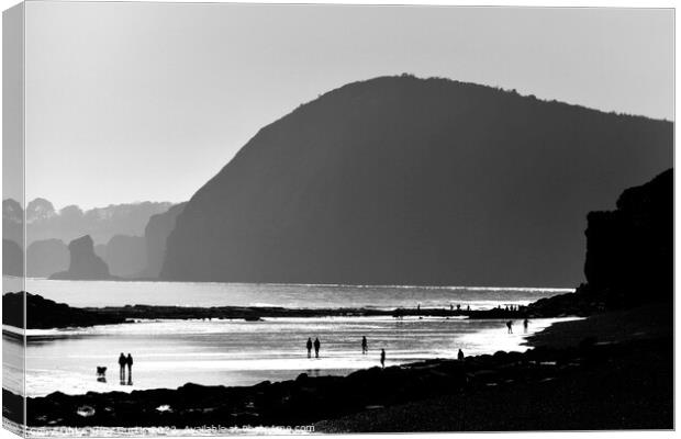 Sidmouth Silhouettes 3 Canvas Print by Roy Curtis