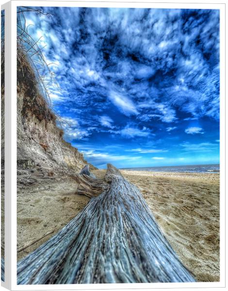 Cove Hithe Driftwood Beach Canvas Print by johnny weaver