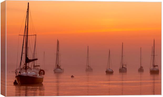 Morning Sunrise Line Up  Canvas Print by johnny weaver