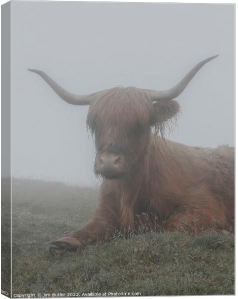 Highland mist Canvas Print by Jim Butler
