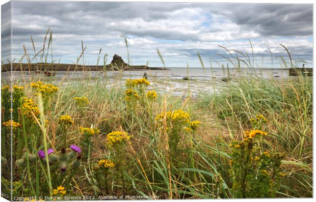 Holy Island in Bloom Canvas Print by Duncan Spence
