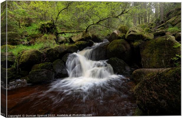 Wyming brook, Sheffield. Canvas Print by Duncan Spence