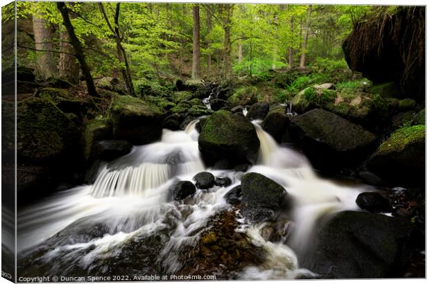 Wyming Brook Nature Reserve, Sheffield. Canvas Print by Duncan Spence