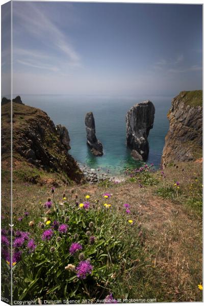 Elegug Stacks Canvas Print by Duncan Spence