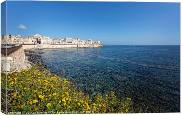 Ortigia, Sicily Canvas Print by Duncan Spence