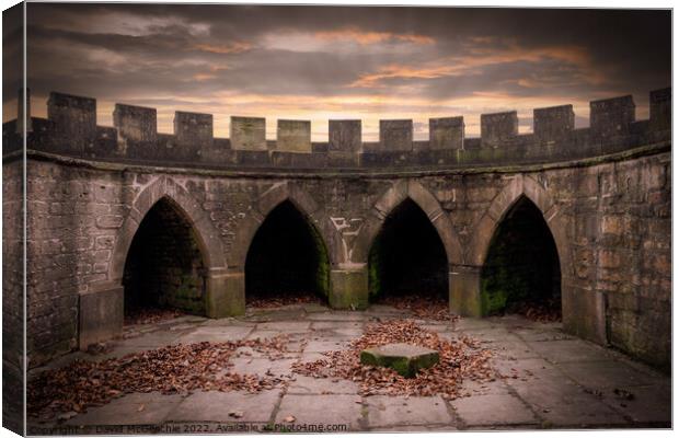 Majestic ruins of Newstead Abbey Canvas Print by David McGeachie