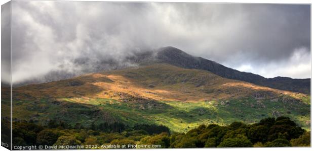 Majestic Welsh Mountains Canvas Print by David McGeachie