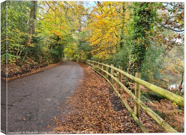 Road by Bystock Pools Canvas Print by Elisabeth Lucas