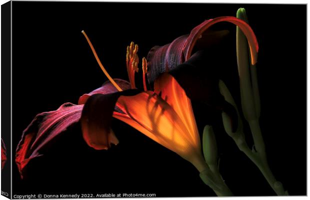 Lily Ambiance Canvas Print by Donna Kennedy