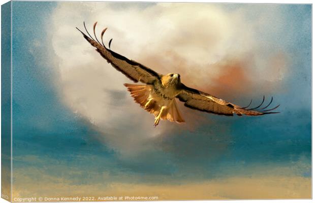 Flying Into the Clouds Canvas Print by Donna Kennedy