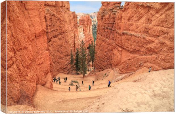 Down the Navajo Loop Trail Canvas Print by Donna Kennedy