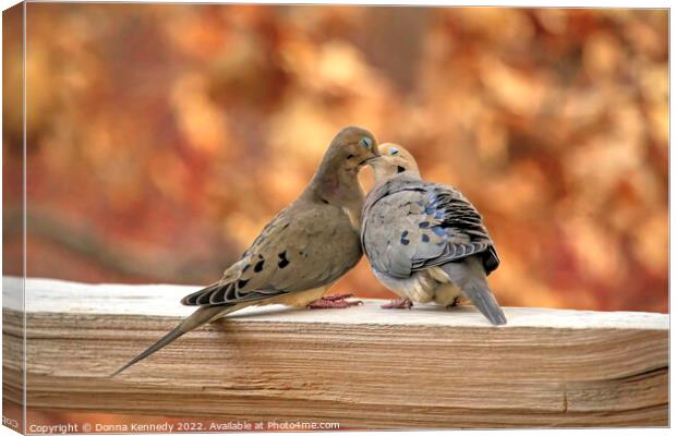 Love Birds Canvas Print by Donna Kennedy