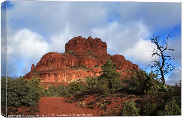 Bell Rock Canvas Print by Donna Kennedy