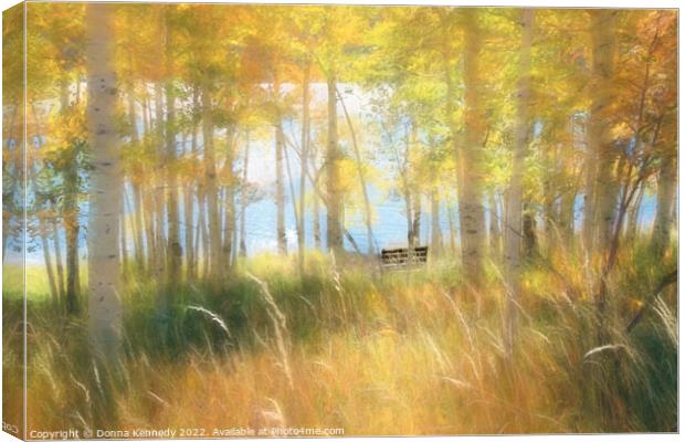 Autumn Dreams Canvas Print by Donna Kennedy
