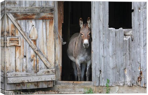 Howdy Canvas Print by Donna Kennedy