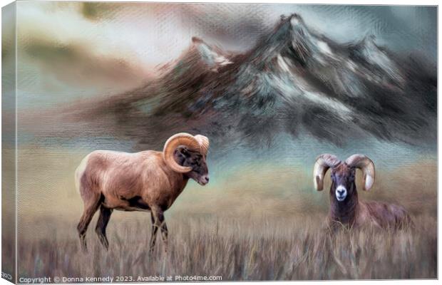 Two Big Horn Sheep Canvas Print by Donna Kennedy