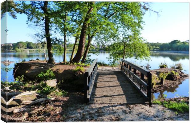 Wooden Bridge to Petersfield Pond, Hampshire  Canvas Print by Peter Hodgson