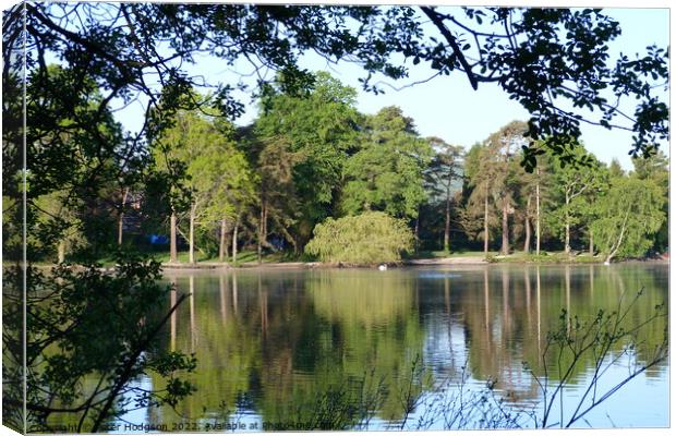 The beauty of the trees and shadows over Petersfield Pond  Canvas Print by Peter Hodgson